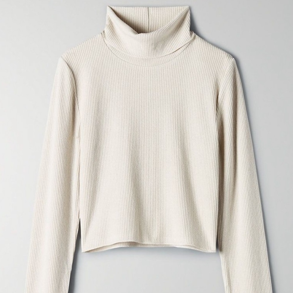 Aritzia Wilfred Free Nova Turtleneck
